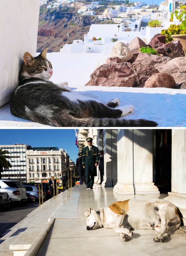 18 особенностей жизни в Греции