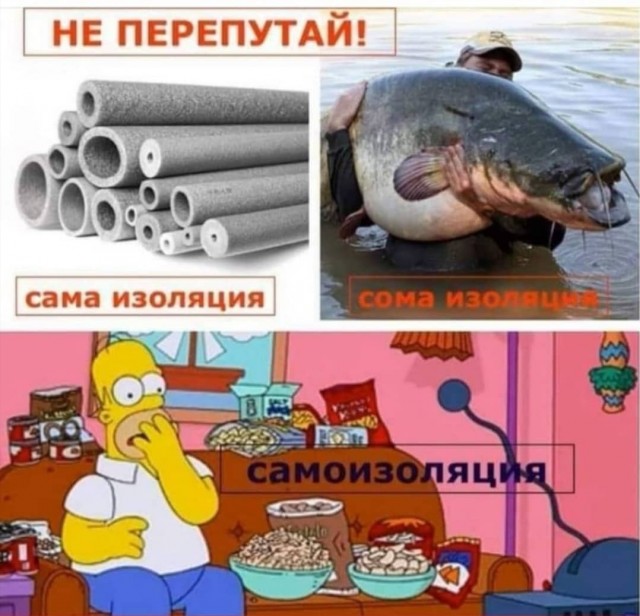 Свинегрет: картинки, надписи и прочее на 28.04 или №22