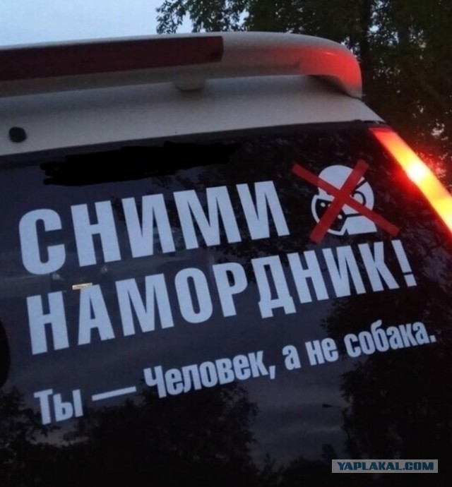 Чуток картинок 25.06.20