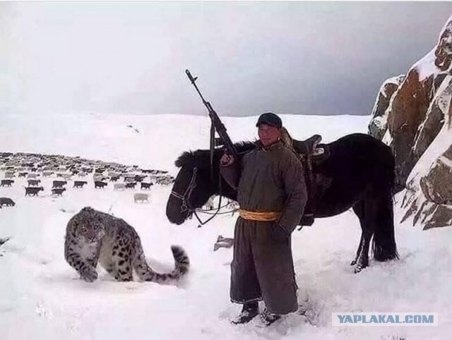 Фотографии людей, показывающие разнообразие населения планеты