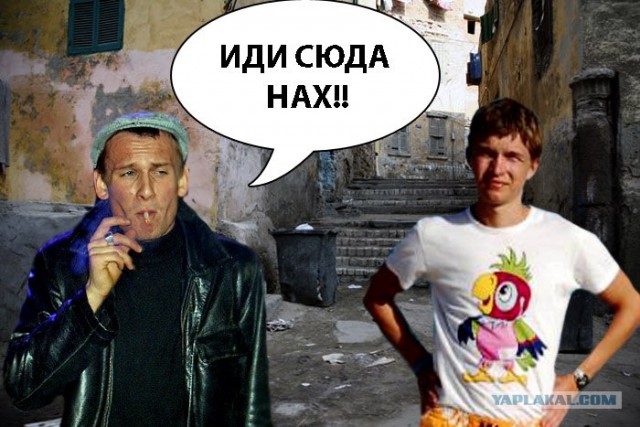 Фотожаба: Они прилетели