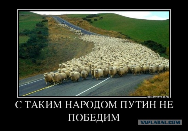 Как живут избиратели, где 90% голосовали за Путина