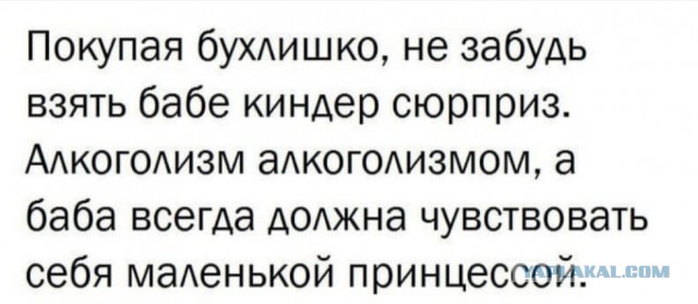Чепухень на каждый день