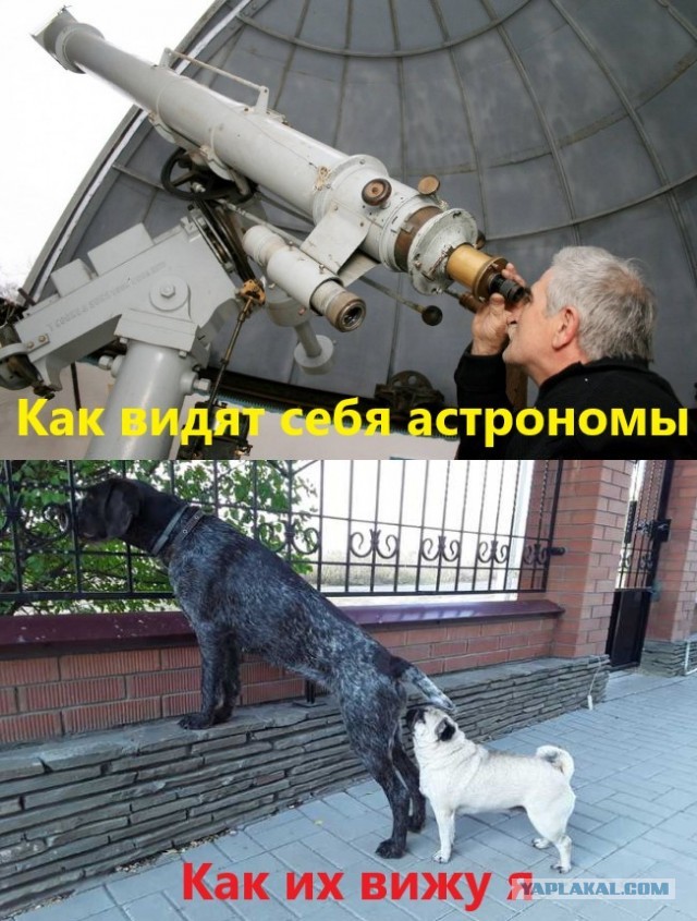 Юмор в картинках 03.12.20