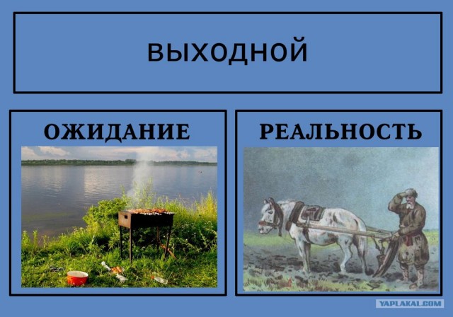 Картина телами для двоих ожидание реальность