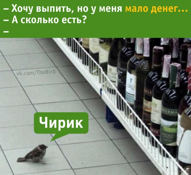 Скачай это бесплатное Фото на тему Макс чирик и открой