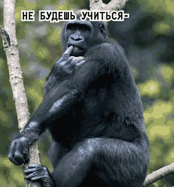 1 сентября караоке! Подпевай!