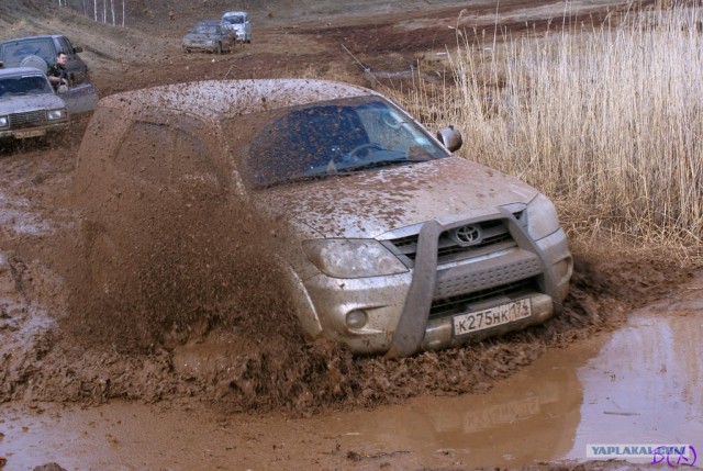 На Шершни в глиноговны