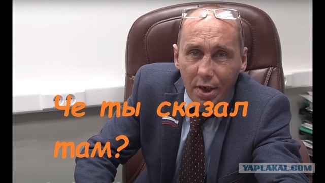 Кот уже никому не верит и ничего не ждёт