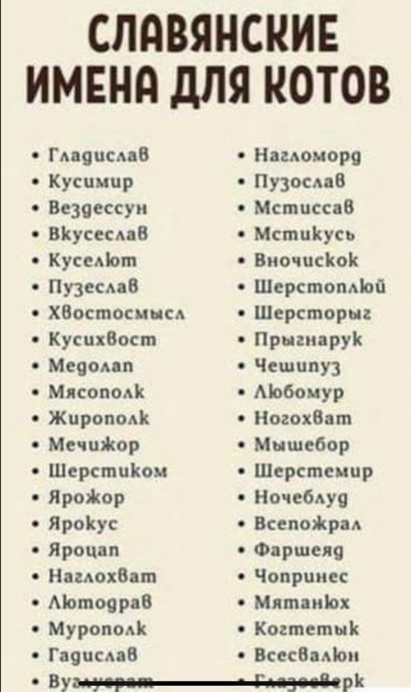 Какое имя дать коту?