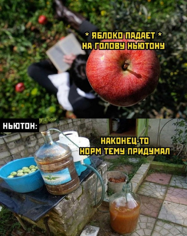 Картинки и мемы для настроения 17.08.2021