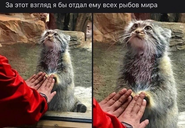 Так себе картинки 30.10.21