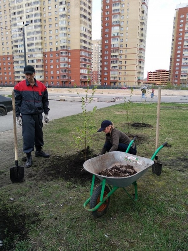 Свежая зелень