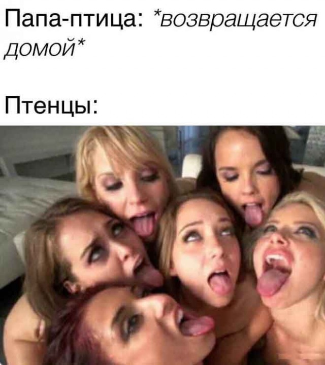 "Светлого" сочельника вам, дорогие деграданты