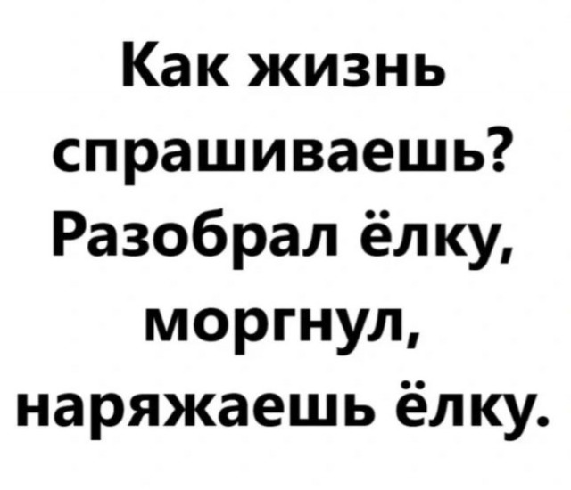 Чуток картинок 04.02.22