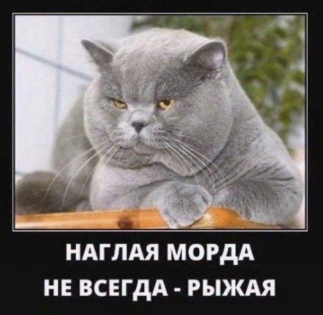 Чуток картинок 04.03.22