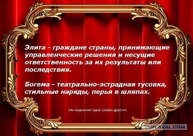 И это - элита?