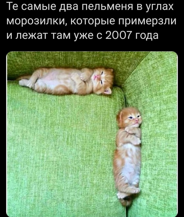 25 пикч для настроения