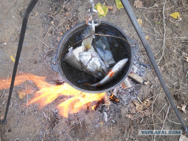 Рыбалка. Болхуны.