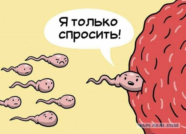 Как оно всё случается