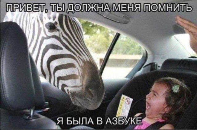 Так себе картинки 17.06.22