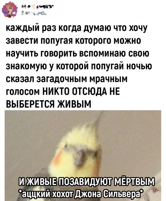 Так себе картинки 30.07.22