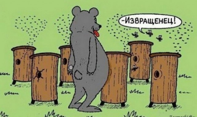 И я туда же!