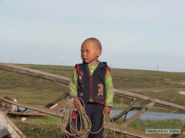 Ямал. Два времени года