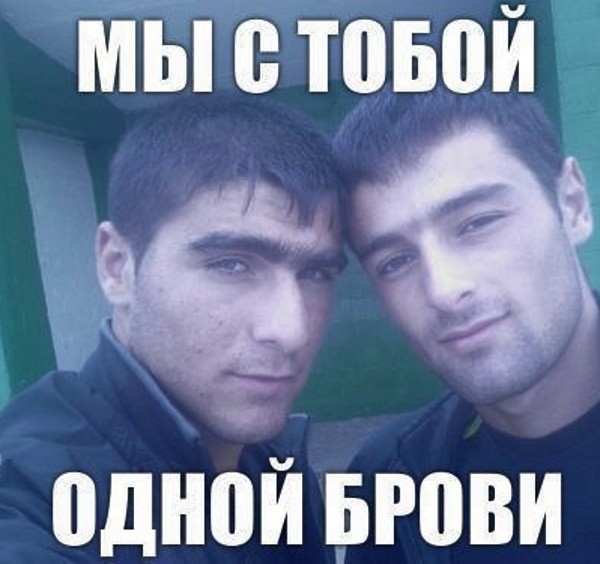 Какая хорошая толерантность...