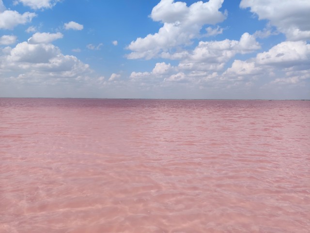 Бурлинский экспресс