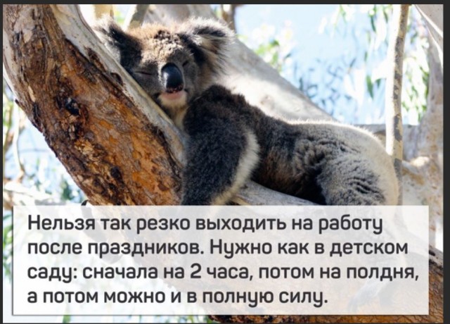 Победная поступь идиотизма по планете – том 5