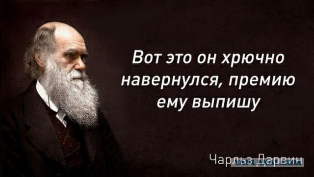 Выглядит безопасно.