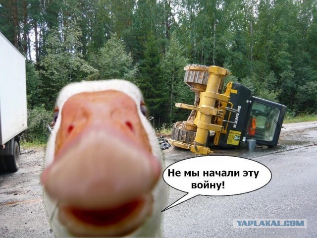 Гоша и девочка