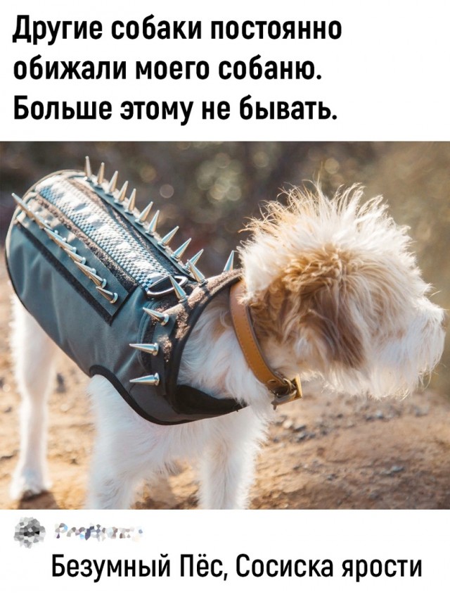 Так себе картинки 11.04.23
