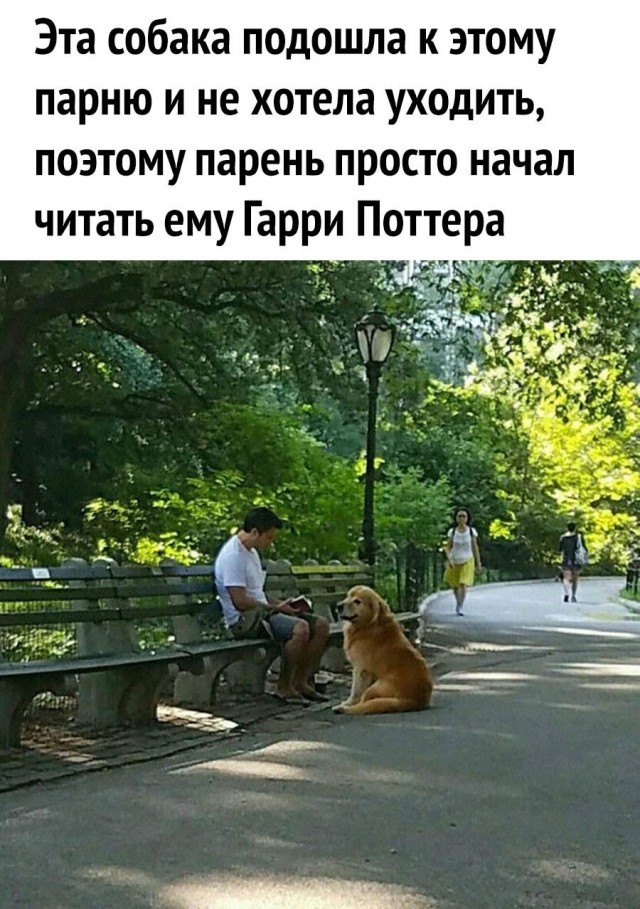 Картинки и мемы, всяко разно - 175
