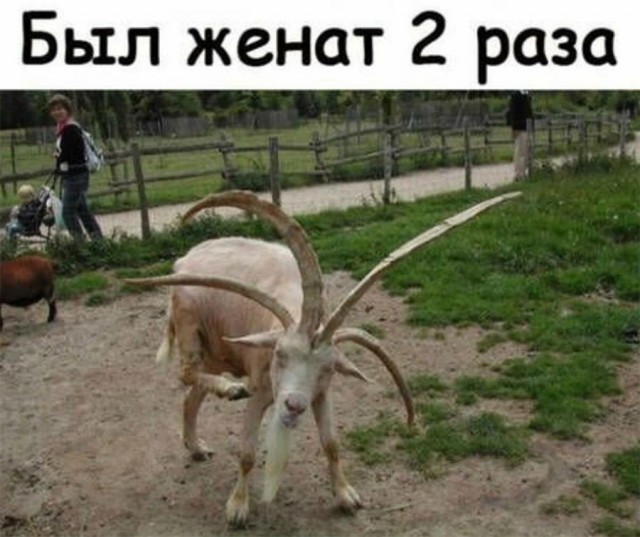 Немного картинок и прочей хреноты Vol. 22