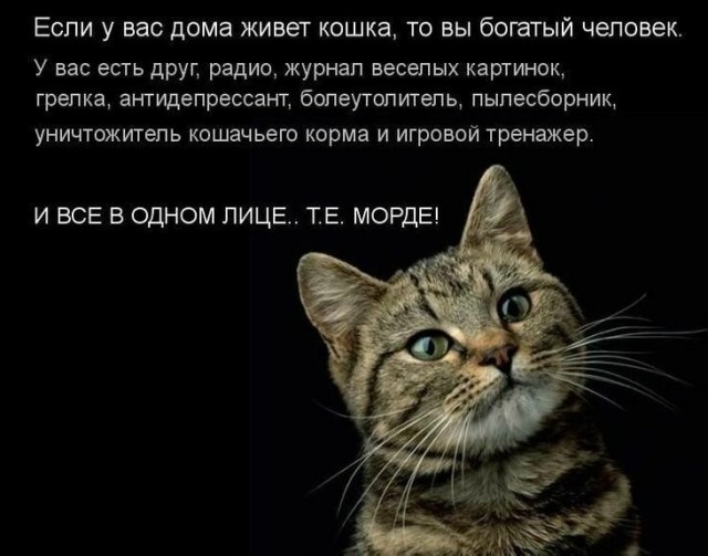 Так себе картинки 14.06.23