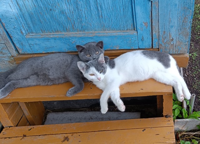 Пополнение, которого не ждали