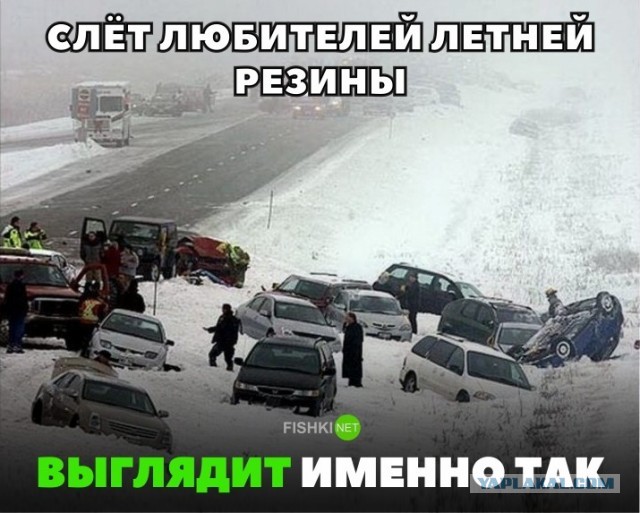 Сегодня на Камчатке подморозило