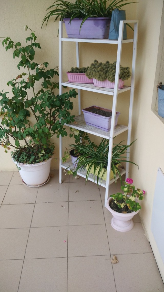 ККК Лазаревское, начало сентября