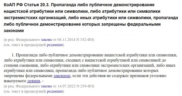 Жительнице Нижнего Новгорода назначили пять суток ареста за ношение сережек в цветах радуги
