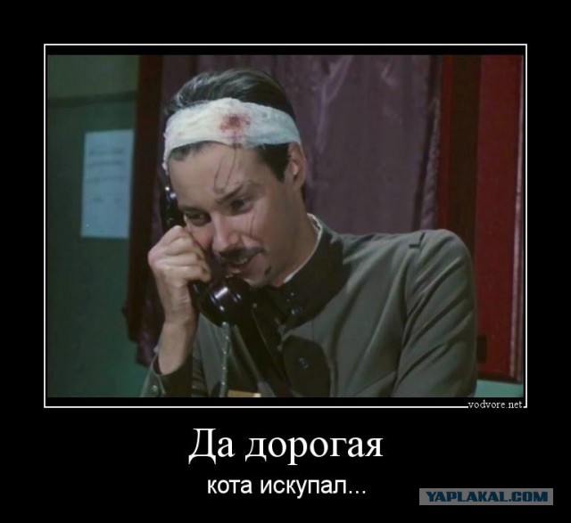 Купание кота, как вид боевого искусства