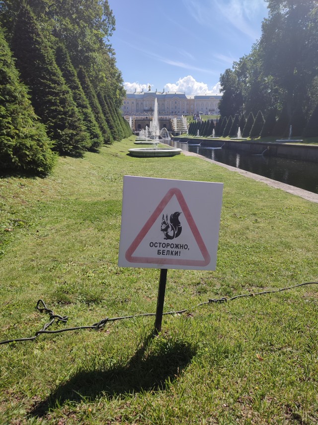 ФотоВинегрет