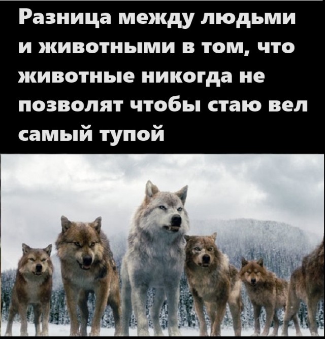 Картинки разные с надписями и без