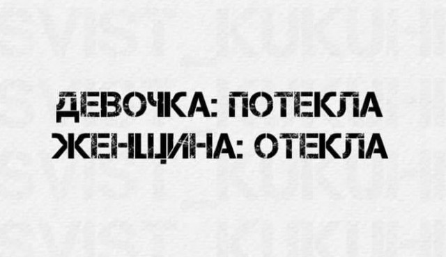 Весёлый полтишок 04.10.2024