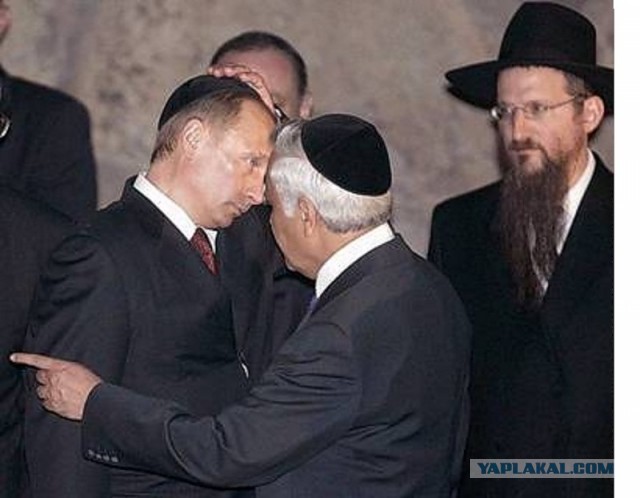 На мечеть насадили свиную голову