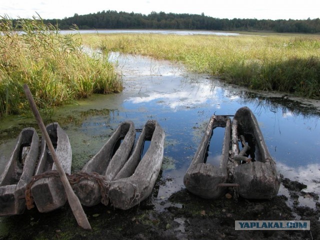 Археологи обнаружили флот из восьми древних лодок