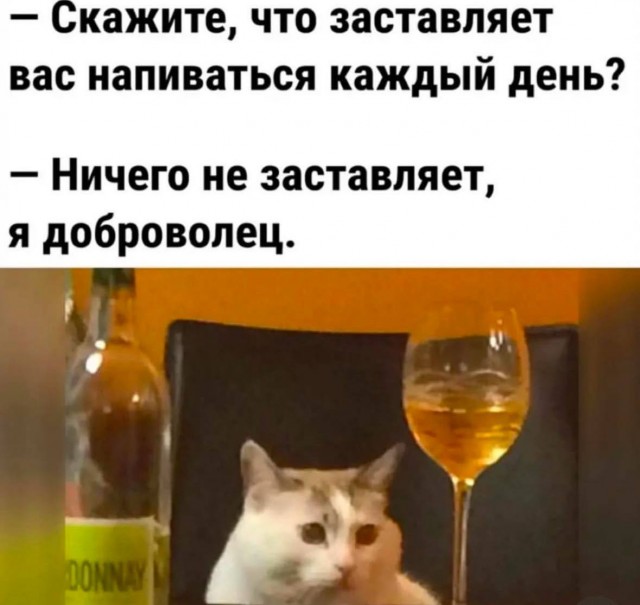 Расскажи мне про море