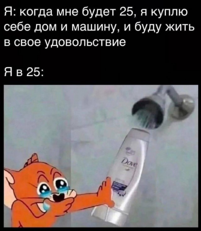 19747280.jpg