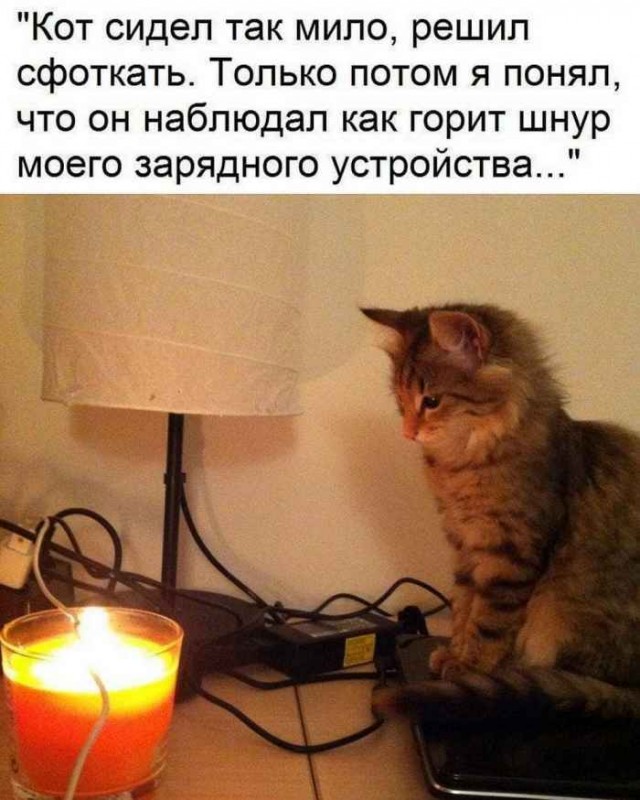 Весёлый полтишок 18.03.2025